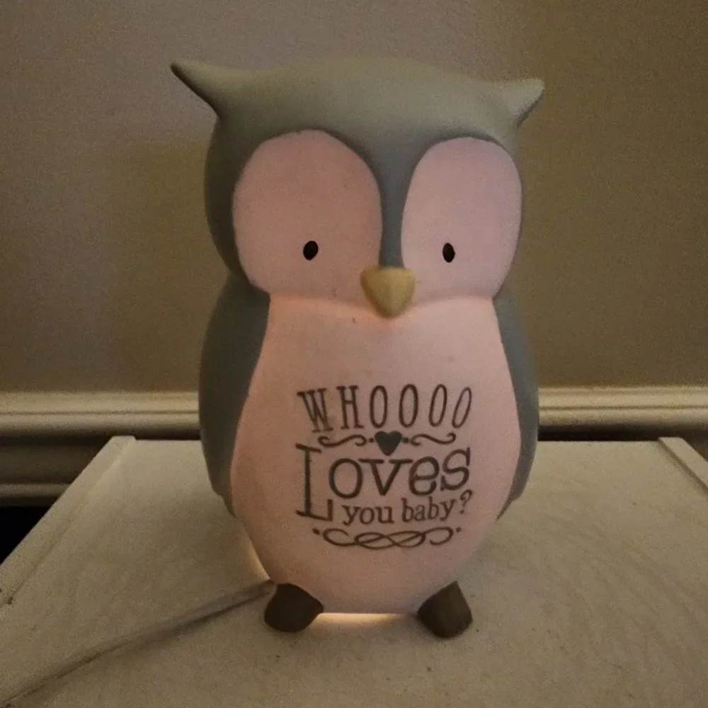 Grasslands Road Owl Whoooo Loves You Baby Desktop Light NWT